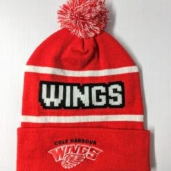 Outlet ✔️ 2021 ASSOCIATION EK12 KNIT TOQUE WITH POM 🔥 -Cheap Powers Baseball Store image 11387