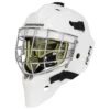 Brand new 🎁 2020 WARRIOR RITUAL F1 GOALIE MASK 🤩