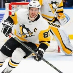 Cheapest ✨ 2018 CCM STK RIBCOR PRO PMT 3 SENIOR 🛒 -Cheap Powers Baseball Store image 43