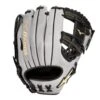 Deals ⭐ 2022 MIZUNO PRO SELECT BALL GLOVE GPS1BK-601S2 PRO SELECT 11.75 BLK-SMK ✨