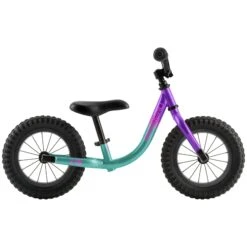 Budget 😀 2021 LOUIS GARNEAU F-UN RUN BIKE TURQ/PURP 🥰