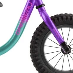 Budget 😀 2021 LOUIS GARNEAU F-UN RUN BIKE TURQ/PURP 🥰 -Cheap Powers Baseball Store image 6312