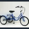Buy 🧨 Genesis 24" Tricycle: 1-Speed Coaster ✨