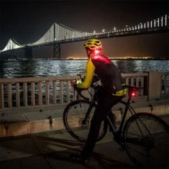 Top 10 ✔️ BELL FORMULA LED MIPS M/G GRYS MED 😉 -Cheap Powers Baseball Store image 7247