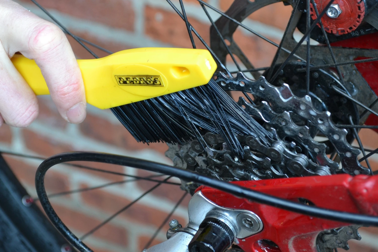 Deals π₯° Pedro's, Pro Brush Kit π― 3 Deals π₯° Pedro's, Pro Brush Kit π― - Image 3