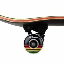 Brand new π Birdhouse Complete Skateboard - Rasta Sunset (7.75) βοΈ 6 Brand new π Birdhouse Complete Skateboard - Rasta Sunset (7.75) βοΈ -Cheap Powers Baseball Store image 9246